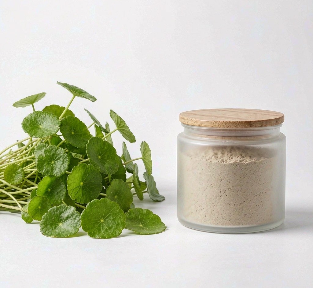 Fresh Centella asiatica leaves with extract powder jar - VeraVitabio