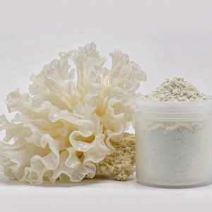 Tremella (Snow Fungus) Extract